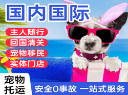 莫力达瓦旗航空运输国际宠物托运 【国